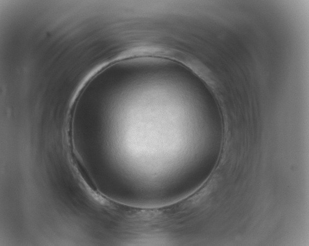 X0000062890912200601131331