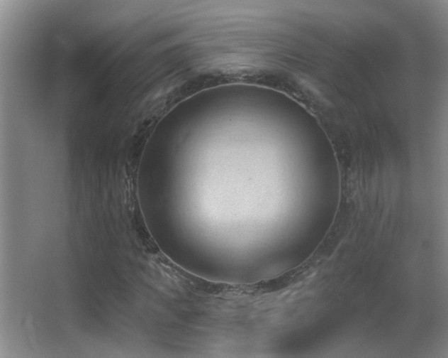 X0000062890917200601131330