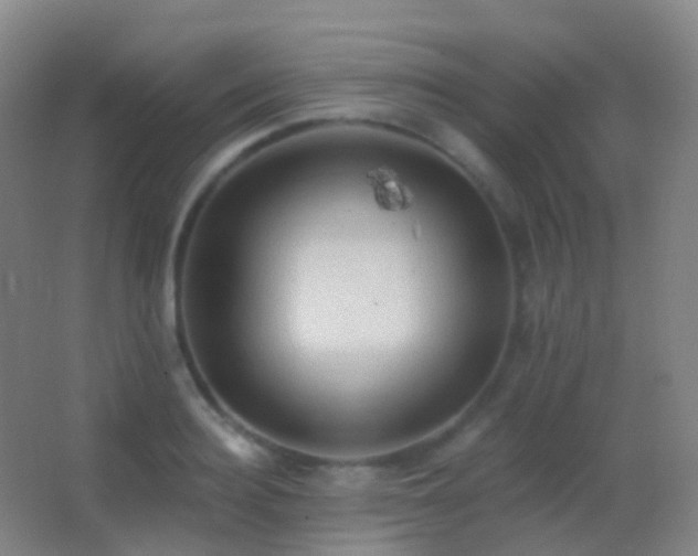 X0000062890940200601131331