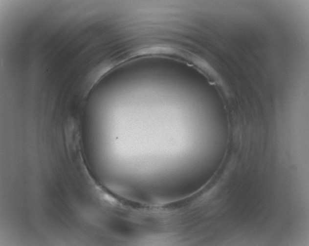 X0000062890945200601131331