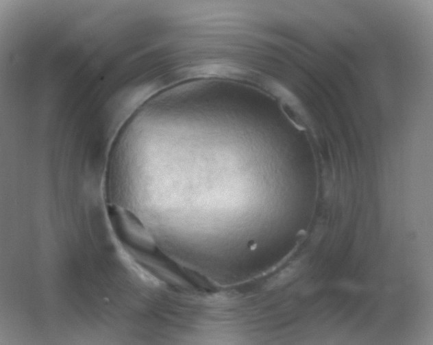 X0000062890946200601131331