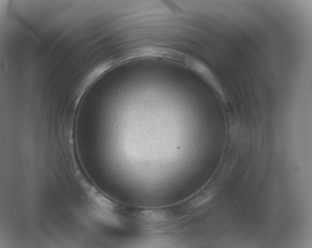 X0000062890954200601131331