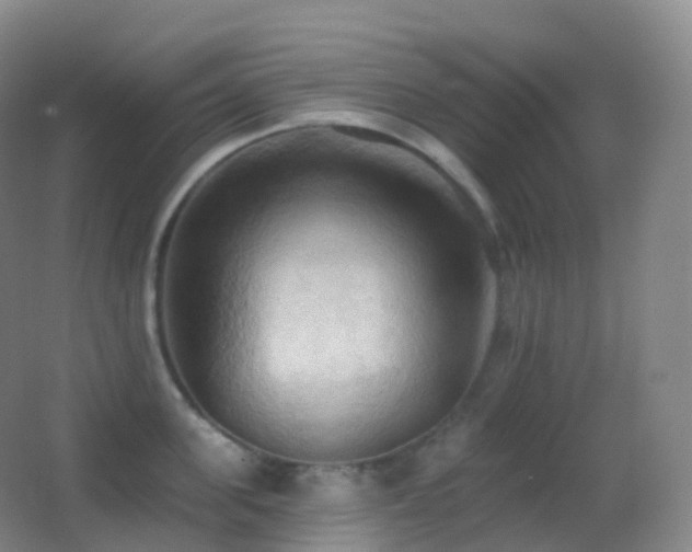 X0000062890955200601131331