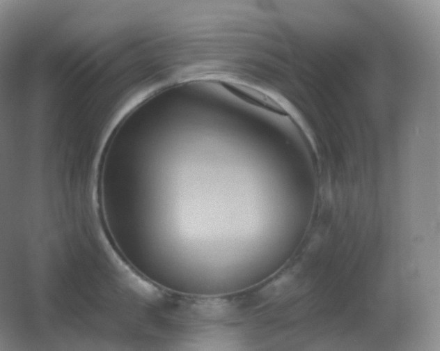 X0000062890957200601131331