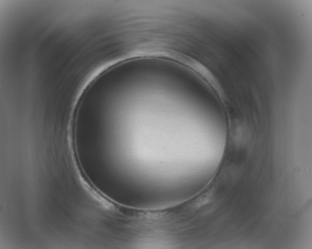 X0000062890958200601131331