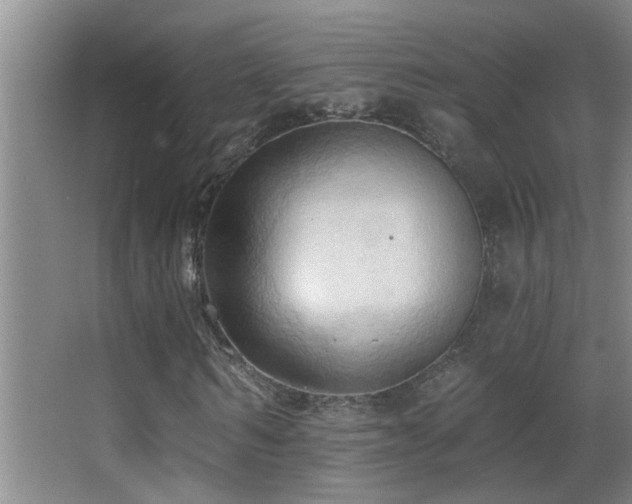 X0000062890962200601131330