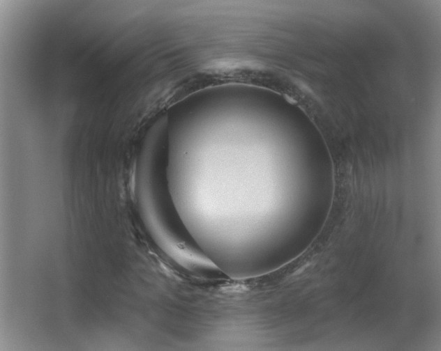 X0000062890965200601131330