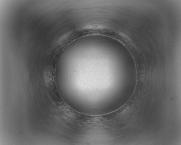 X0000062890966200601131330