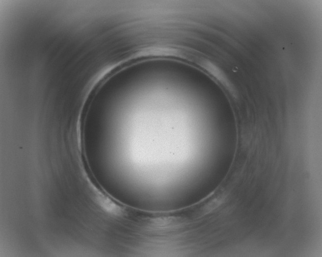 X0000062890988200601131330