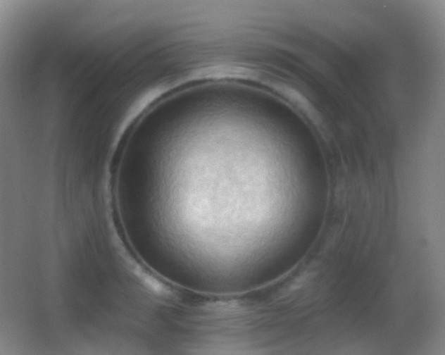 X0000062890990200601131330