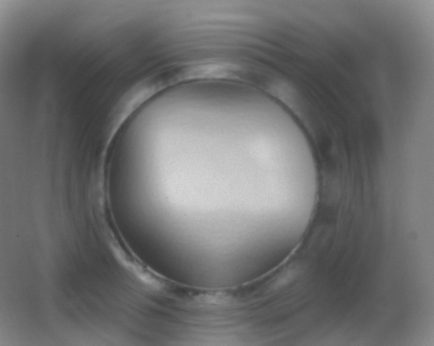 X0000062890994200601131330