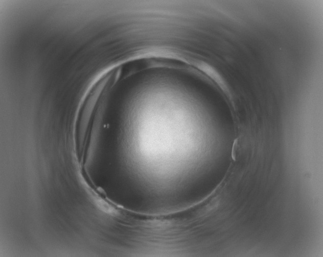 X0000062890996200601131330