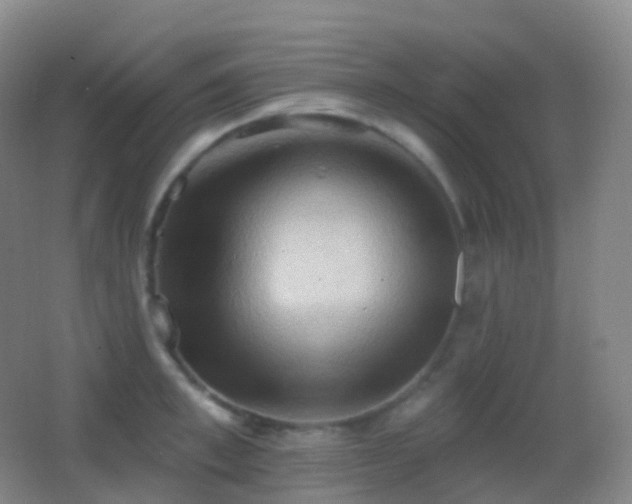 X0000062890997200601131330