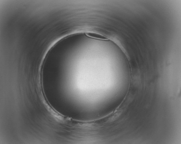 X0000062891004200601131329