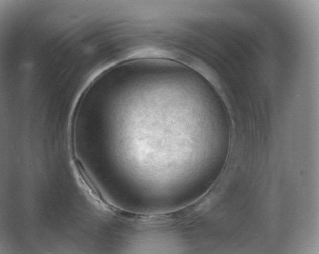 X0000062891008200601131329