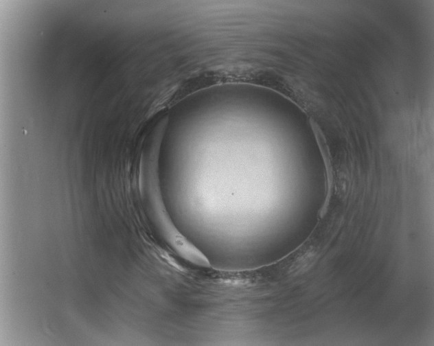 X0000062891010200601131329