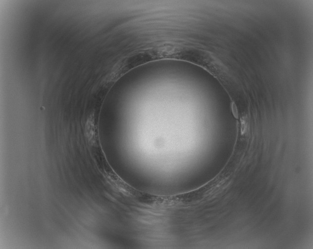X0000062891011200601131329