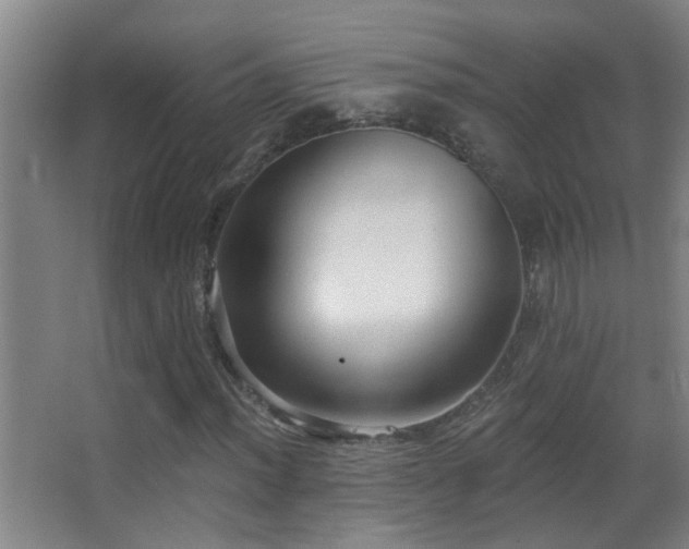 X0000062891012200601131329