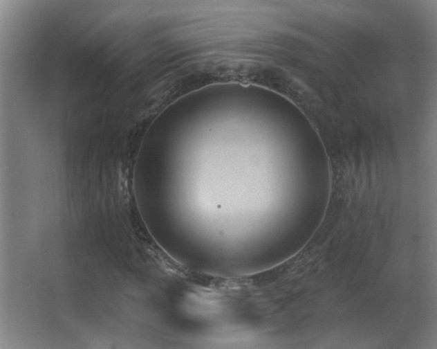 X0000062891013200601131329