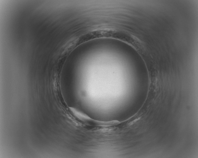 X0000062891014200601131329