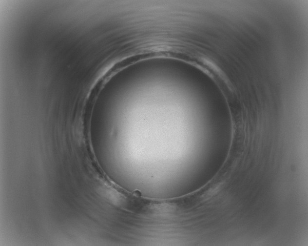 X0000062891023200601131329
