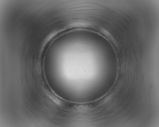 X0000062891027200601131329