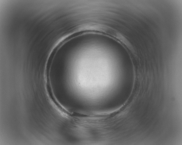 X0000062891028200601131329