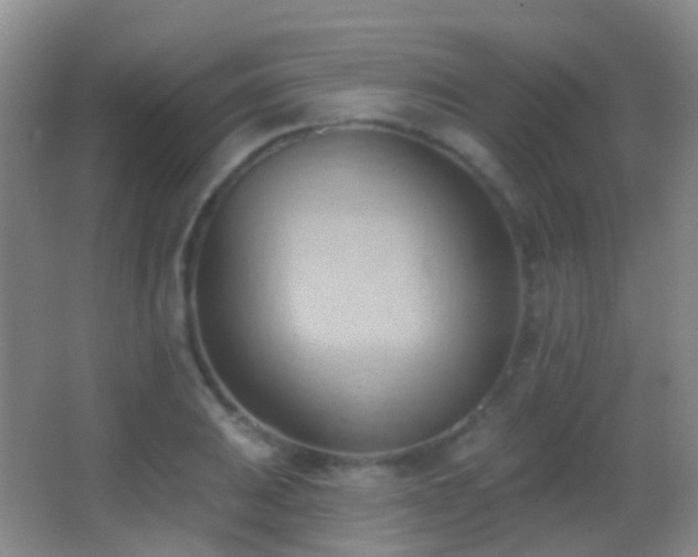 X0000062891031200601131329