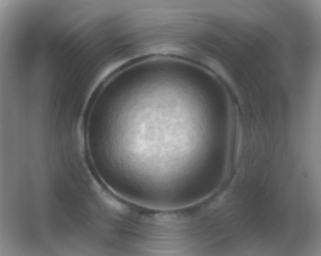X0000062891032200601131329