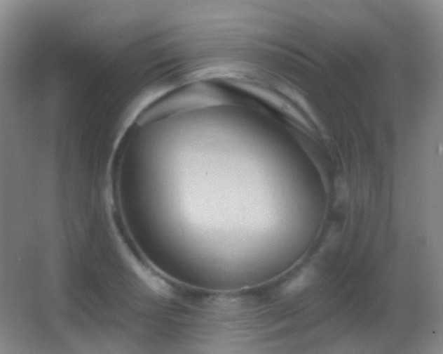 X0000062891034200601131329