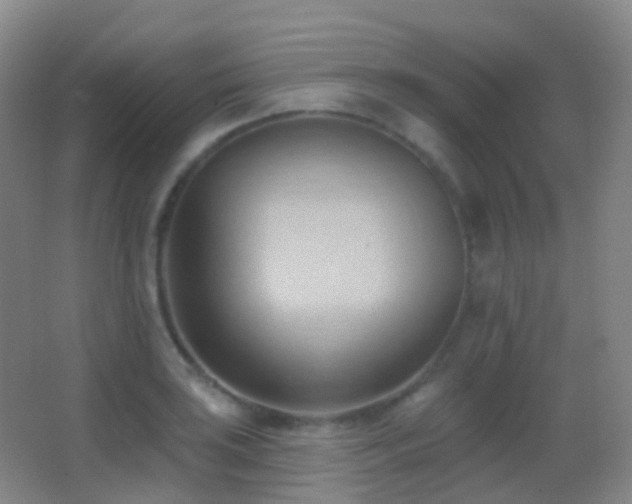 X0000062891035200601131329