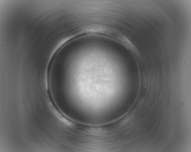 X0000062891036200601131329