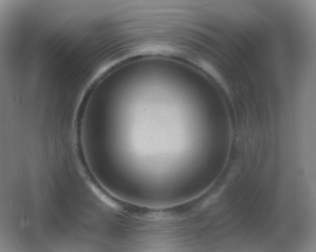 X0000062891037200601131329