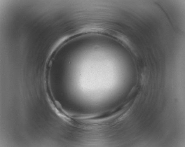 X0000062891038200601131329