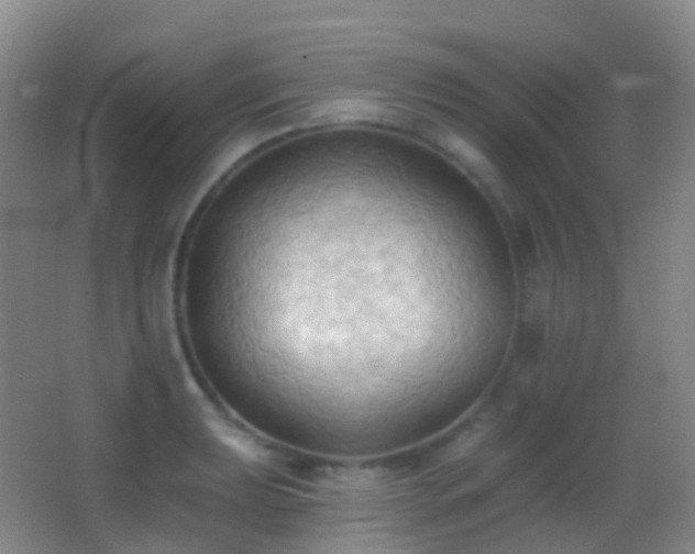 X0000062891039200601131329