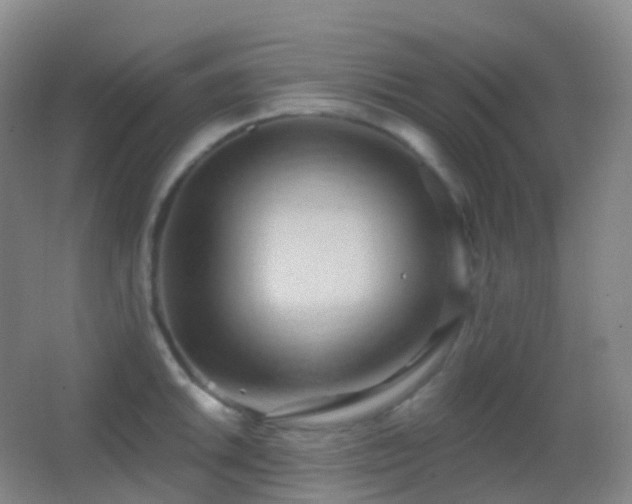 X0000062891046200601131329