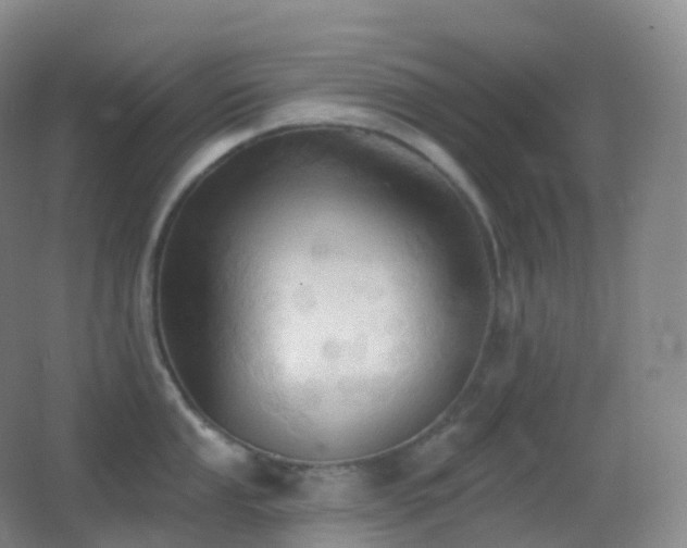 X0000062891053200601131329