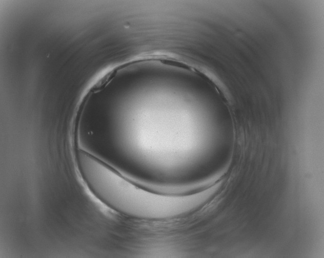 X0000062891054200601131329