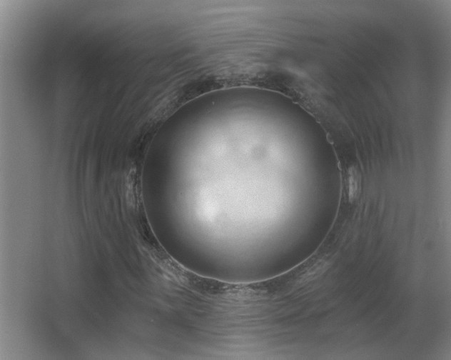 X0000062891059200601131329