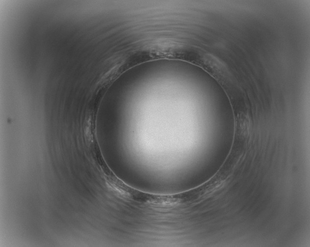 X0000062891060200601131329