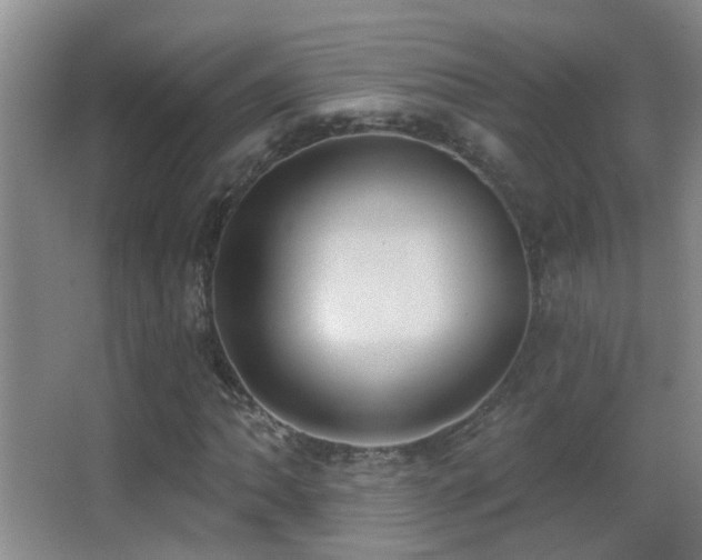 X0000062891062200601131328