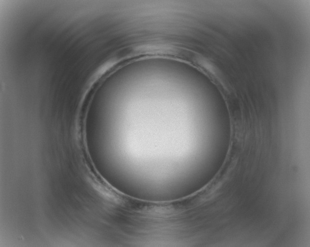 X0000062891074200601131328
