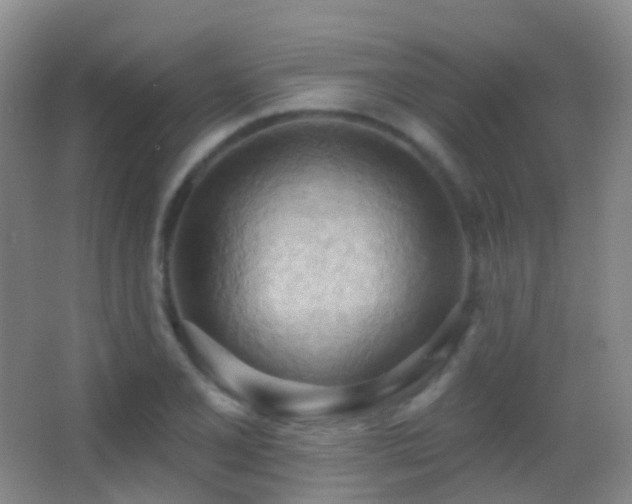X0000062891077200601131328