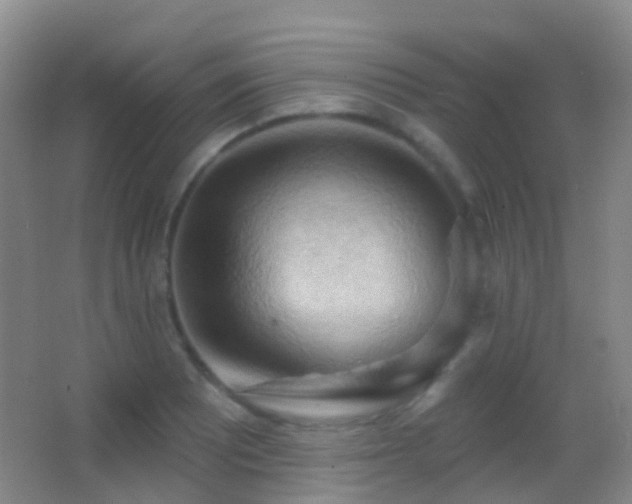 X0000062891081200601131328