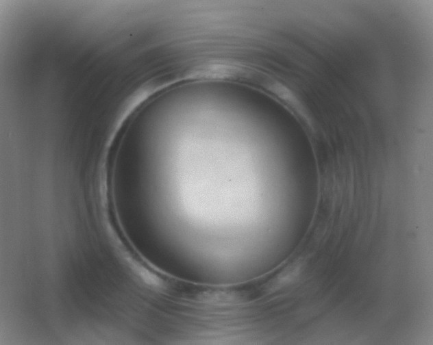 X0000062891083200601131328