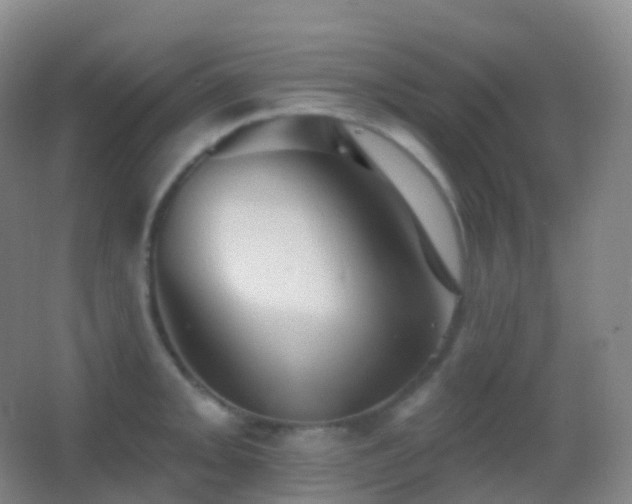 X0000062891093200601131328