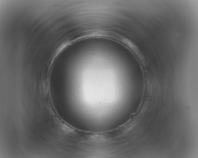 X0000062891097200601131328