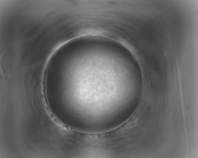 X0000062891104200601131328