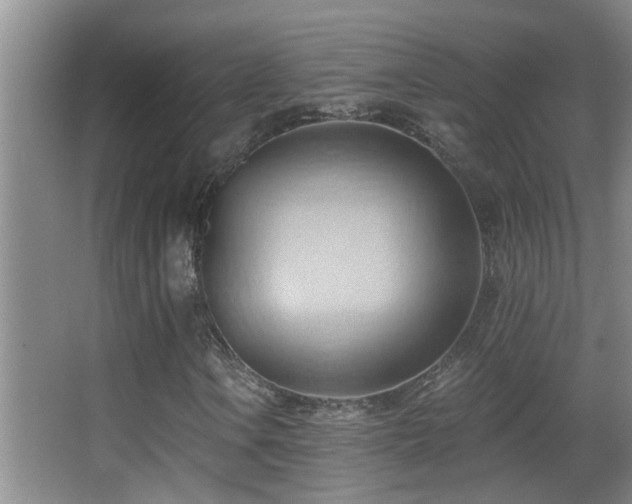 X0000062891106200601131327