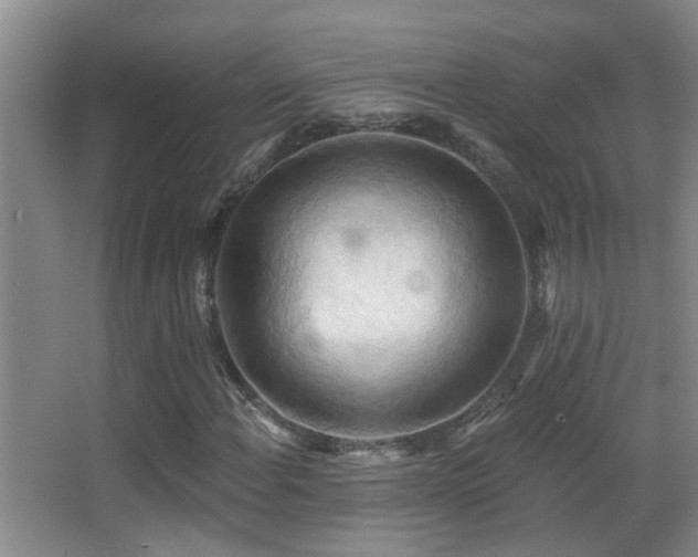 X0000062891108200601131327